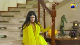 Zakham - Episode 29 - 5th Jul 2022